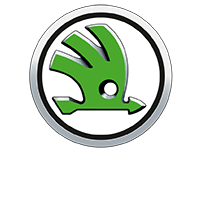 Кузовной ремонт и покраска Skoda в Минске